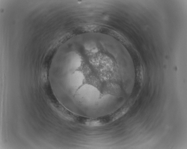 X0000080730602200612151226