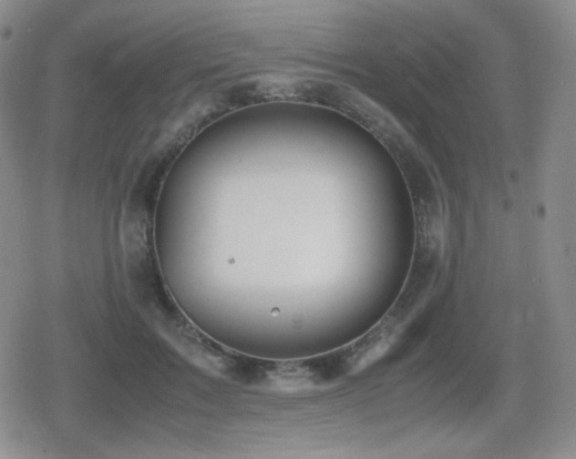 X0000080730603200612151226