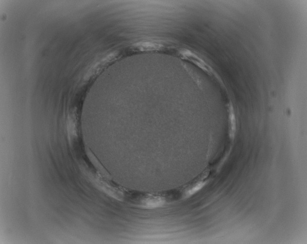 X0000080730604200612151226