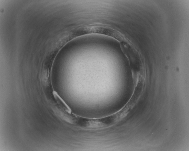 X0000080730605200612151226