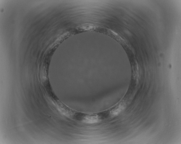 X0000080730606200612151226