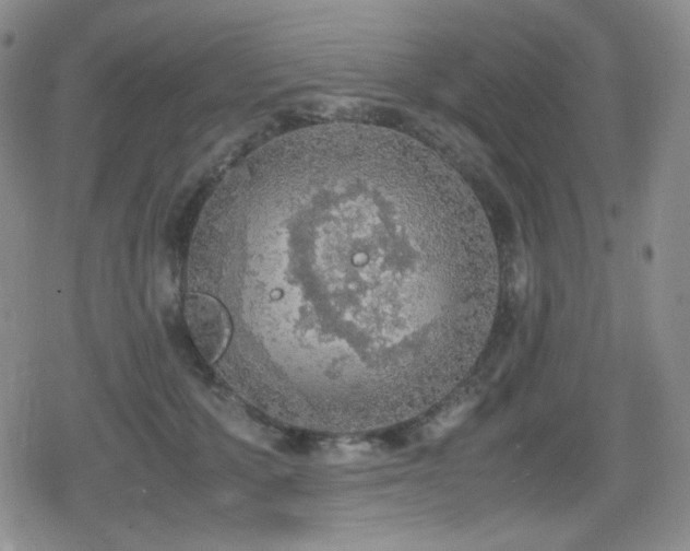 X0000080730607200612151226