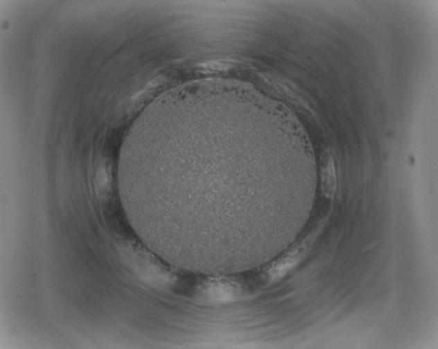 X0000080730608200612151226