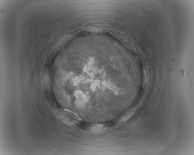 X0000080730609200612151226