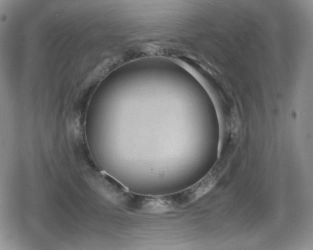 X0000080730611200612151226