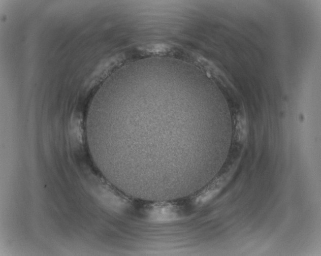 X0000080730612200612151226