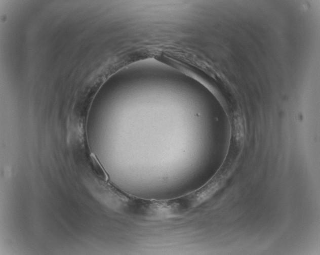 X0000080730613200612151226