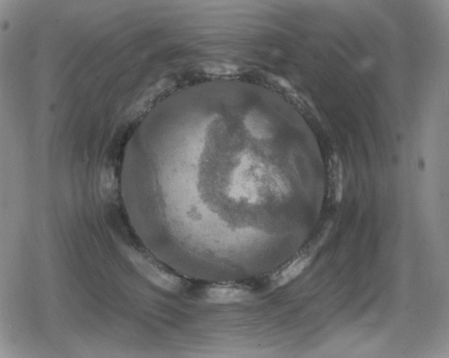 X0000080730614200612151226