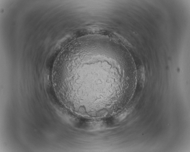 X0000080730615200612151226