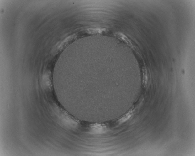 X0000080730616200612151226