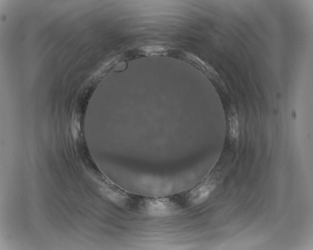 X0000080730618200612151226