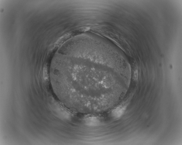 X0000080730620200612151226