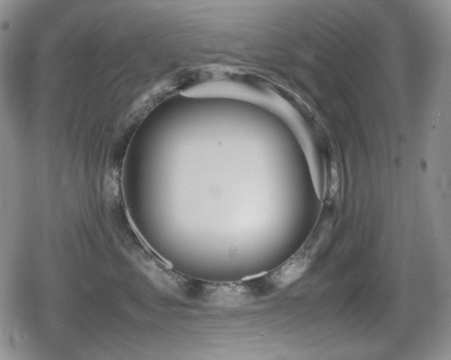 X0000080730621200612151226