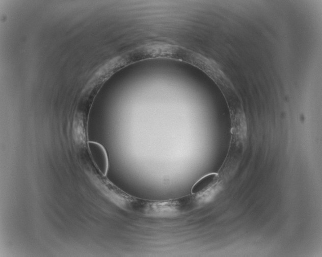 X0000080730622200612151226