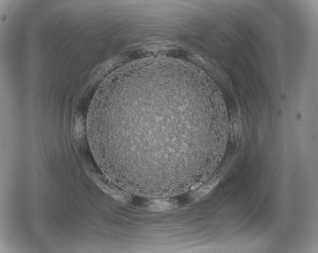 X0000080730623200612151226