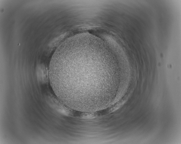 X0000080730624200612151226