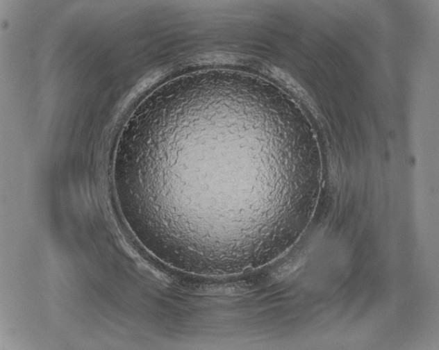 X0000080730625200612151225