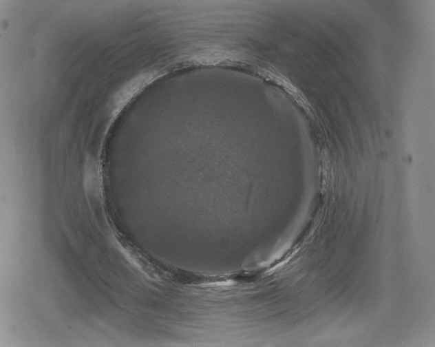 X0000080730626200612151225