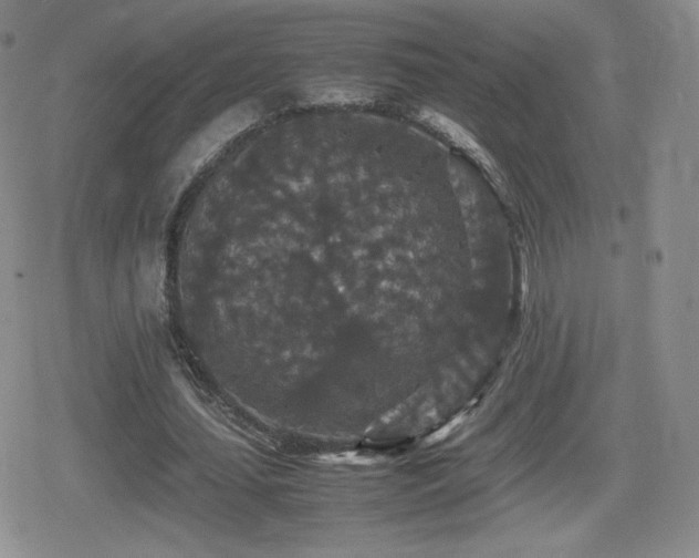 X0000080730627200612151225