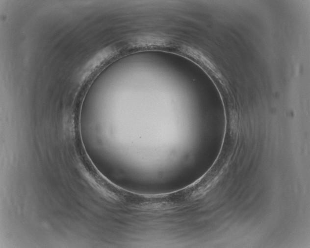 X0000080730629200612151225