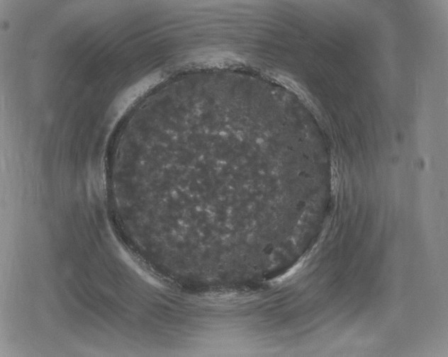 X0000080730630200612151225