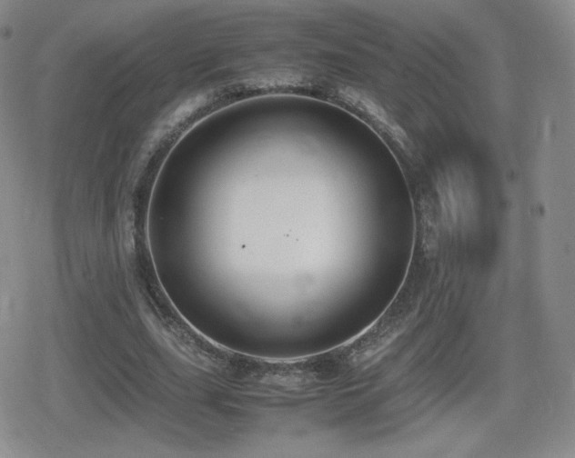 X0000080730631200612151225