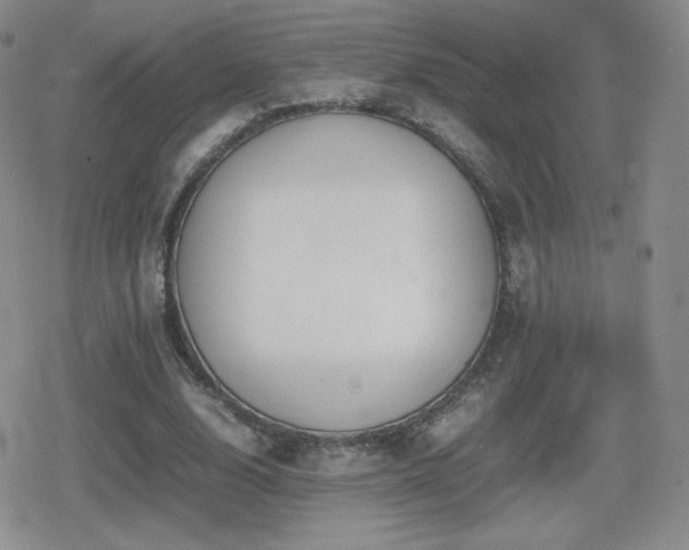 X0000080730632200612151225