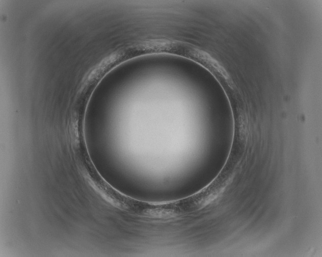 X0000080730633200612151225