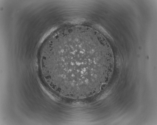 X0000080730634200612151225