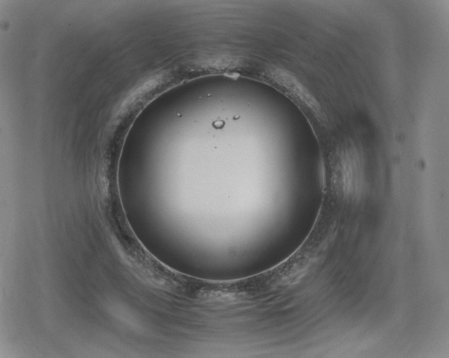 X0000080730635200612151225