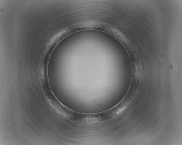 X0000080730636200612151225