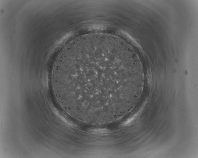 X0000080730637200612151225