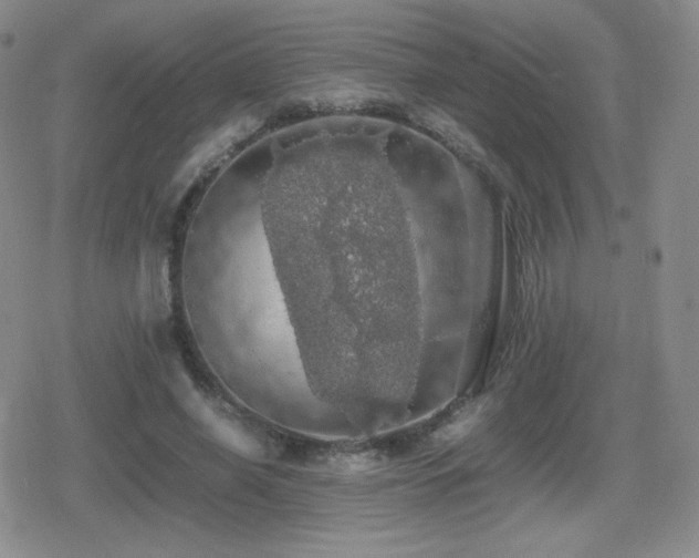 X0000080730638200612151225