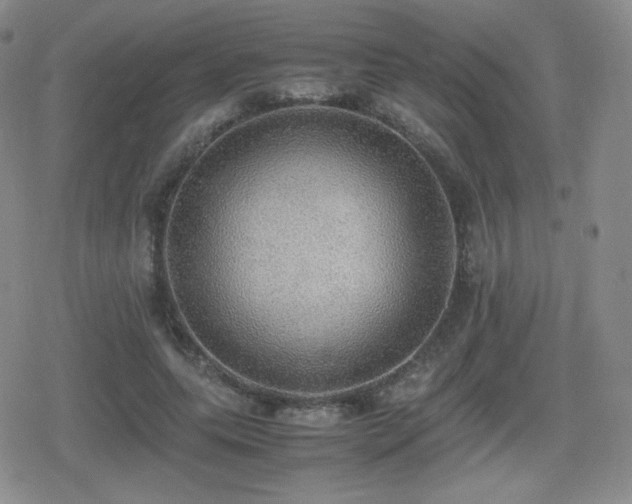 X0000080730639200612151225