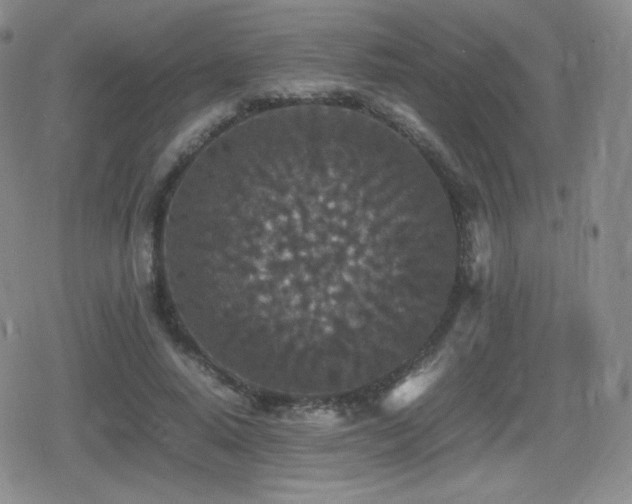 X0000080730640200612151225