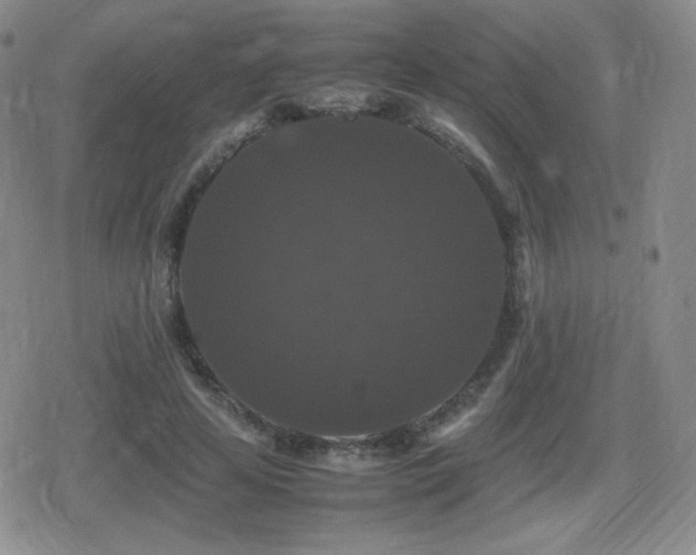 X0000080730641200612151225