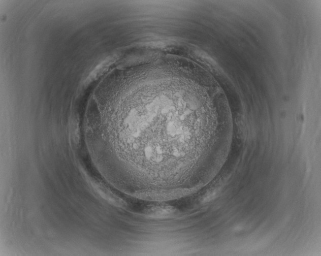 X0000080730642200612151225