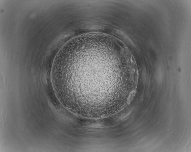 X0000080730643200612151225