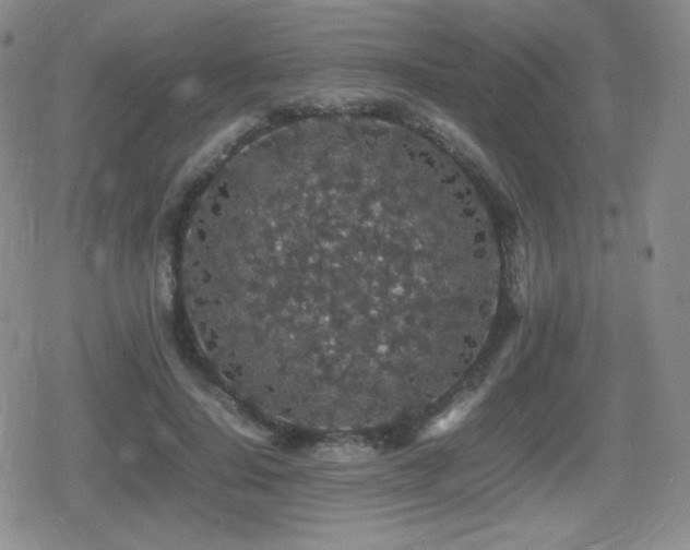 X0000080730644200612151225