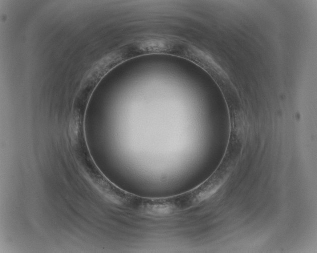 X0000080730645200612151225