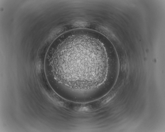 X0000080730647200612151225