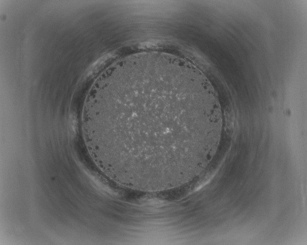 X0000080730648200612151225