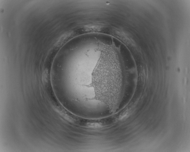 X0000080730649200612151225