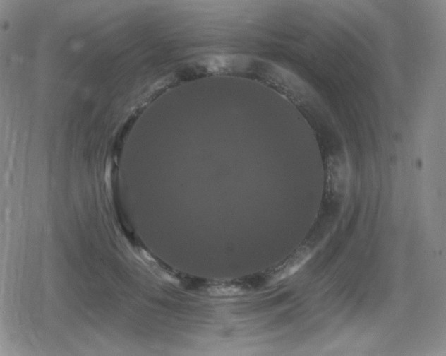 X0000080730650200612151225