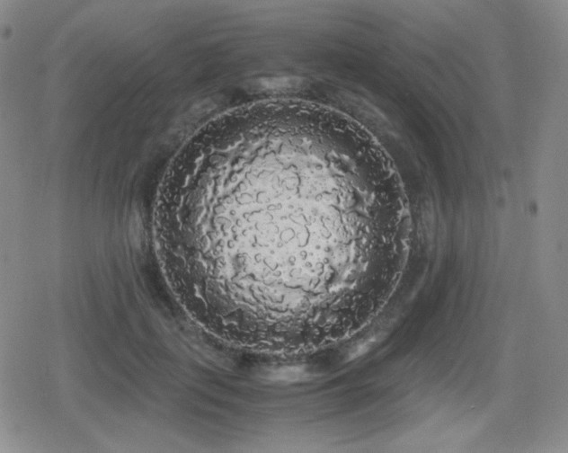 X0000080730651200612151225