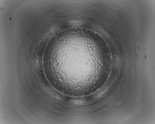 X0000080730655200612151225