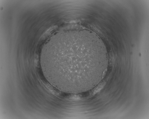 X0000080730656200612151225