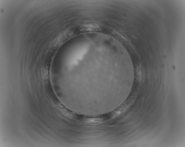 X0000080730657200612151225