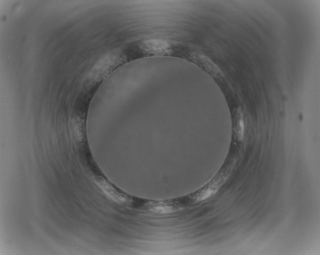 X0000080730658200612151225