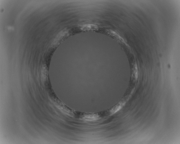 X0000080730659200612151225